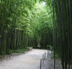 Ressources et liens - hypersensibilité, HPI, coaching