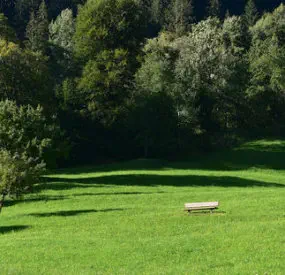 Les voix des clients