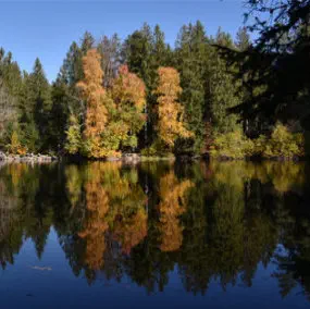 Contact, Honoraires, prise de rendez-vous en ligne, à Freiburg ou à La Houssaye en Brie