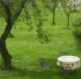 Pourquoi un coach et pourquoi ce coach?