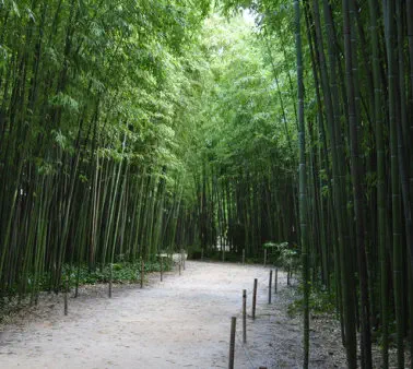 Ressources et liens - hypersensibilité, HPI, coaching