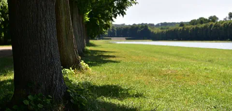 Ruhige Achtsamkeit im Park von Versailles