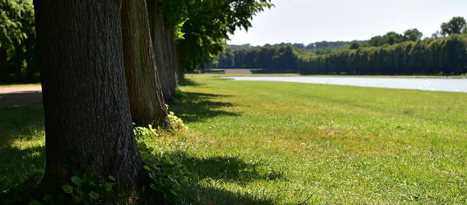Ruhige Achtsamkeit im Park von Versailles