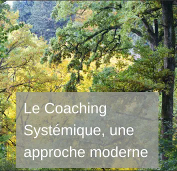 Coaching systémique -  sources, méthodes et inspirations
